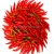 Import Export to USA red and green Dried hot chilli pepper from China
