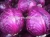 Import Exporter Fresh Red Young Purple Cabbage From China from China