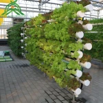 Factory Hot Sale Multi-Span Commercial Glass Agricultural Greenhouse