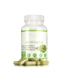 Factory OEM 500mg Veggie Moringa Oleifera Capsules Moringa Capsules