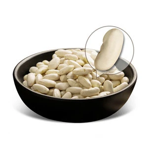Factory wholesale big size white kidney bean with Free samples