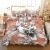 Import Fashion 3pcs 3D Digital Flowers Printed Duvet Cover Pillow Case Bedding Bed Sheet Set from China