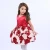Import Fashion Model Girls Pattern Sleeveless Princess Printing Red Rose Prom Kids Dresses from China
