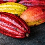 Food Grade Natural Cocoa Powder Factory Supply Supper Good 25kg Cocoa Powder
