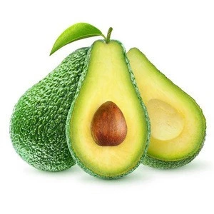 FRESH AVOCADO with Good price and HIGH QUALITY