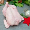 Fresh Frozen Halal Quality Whole Chicken for Wholesale