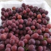 fresh Grapes