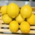 Import Fresh Lemon And Fresh Orange Citrus Fruits from Germany