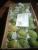 Import fresh mango high quality 2017 crop (A) from Egypt