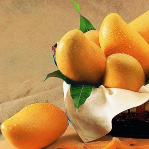 Fresh mango imported from China
