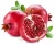 Import Fresh Pomegranate Fruits For Sale from South Africa