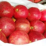 Fresh Pomegranate