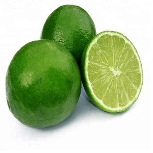 Fresh Seedless Lime