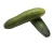 Import Fresh South Africa cucumber from USA