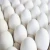 Import Fresh White Shell Egg from India