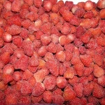 Frozen and Fresh Strawberries