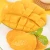 Import frozen freeze dry mango half from China