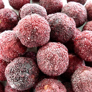 Frozen Red Bayberry Fruit