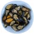 Import Frozen shellfish half shell Mussel from China