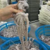 Frozen whole long leg octopus price