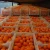 Import Frseh apricots from Canada
