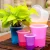 Import garden flower pot square self watering colorful fashion design plastic flower pots from China