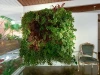 Geotextile breathable nonwoven green wall pots vertical garden