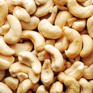 Good Quality W320 W450 W240 W180 raw cashew nuts tanzania for sale