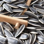 Grade AAA Organic Sunflower Seeds . Best Market Price