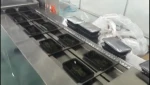 Great Discounts Stainless Steel 304 DLF - 2 Automatic Continuous Tray Sealer For Fruits/Nuts/Snack