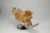 Import Heavy duty barber chairs salon styling chairs new barber chairs for sale L810M from China