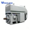 High Quality 1000kw Electric Motor