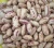 Import High Quality Black,Red,White Kidney Beans from South Africa