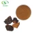 Import High Quality Chaga Mushroom P.E. / Chaga Mushroom Extract Powder 10:1 20:1 from China