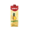 High Quality Cocktail Fruit Juice Best Price in Carton Pack 1000 ml