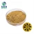 Import high quality gold metallic pigment golden bronze powder from China