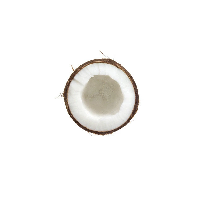 High Quality Indonesia Fresh Coconut for Wholesale