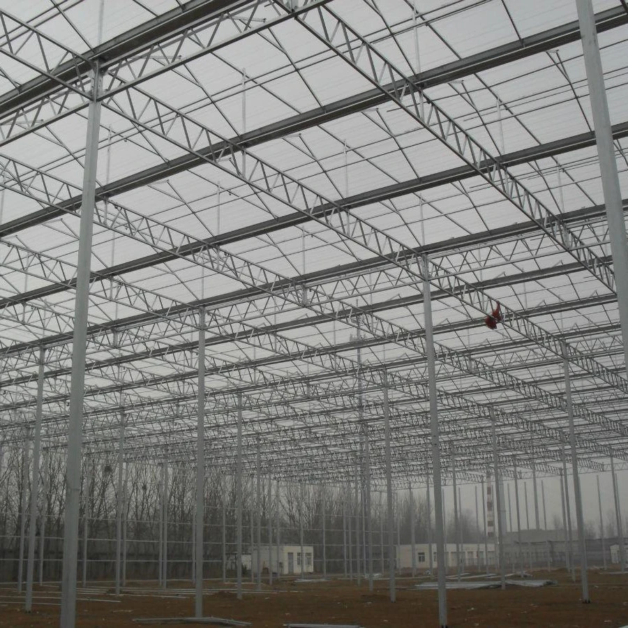 HM Plastic Polythene Greenhouse Roof Ventilation Tropical Sawtooth Greenhouse