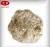 Import Hollow conjugated silicon polyester staple fiber 15d/64mm synthetic fibre chemical fibre from China