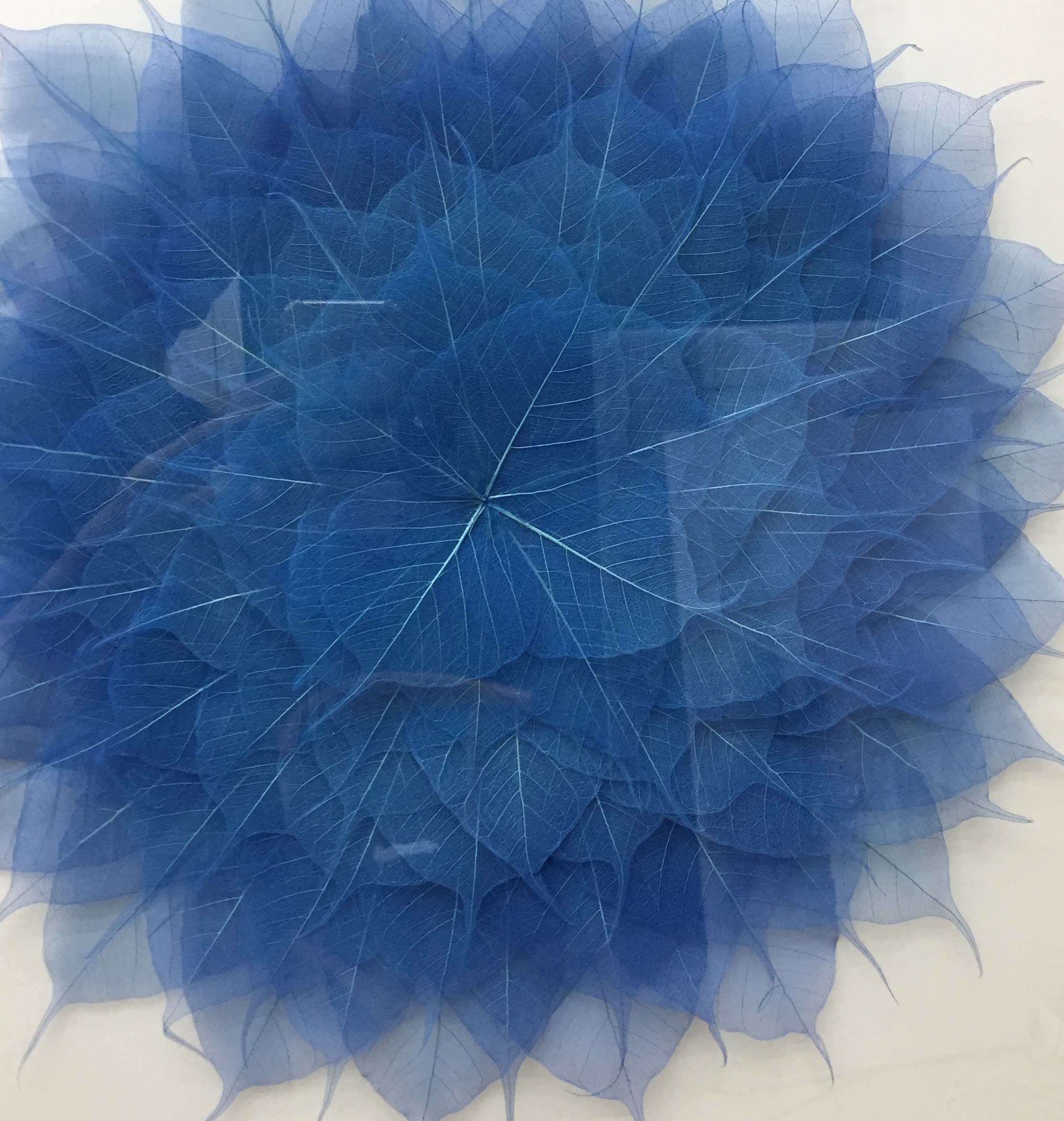 Buy Home Decor Blue Leaves Shadow Box Wall Decor Glass Framed Wall Art