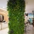 Import Hot products customized artificial foliage vertical hedge plants for sale from China