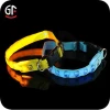 Hot Sale China Pet Supplies Led Dog Collar Leashes