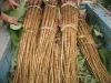 Hot sale Fresh Burdock at competitive price