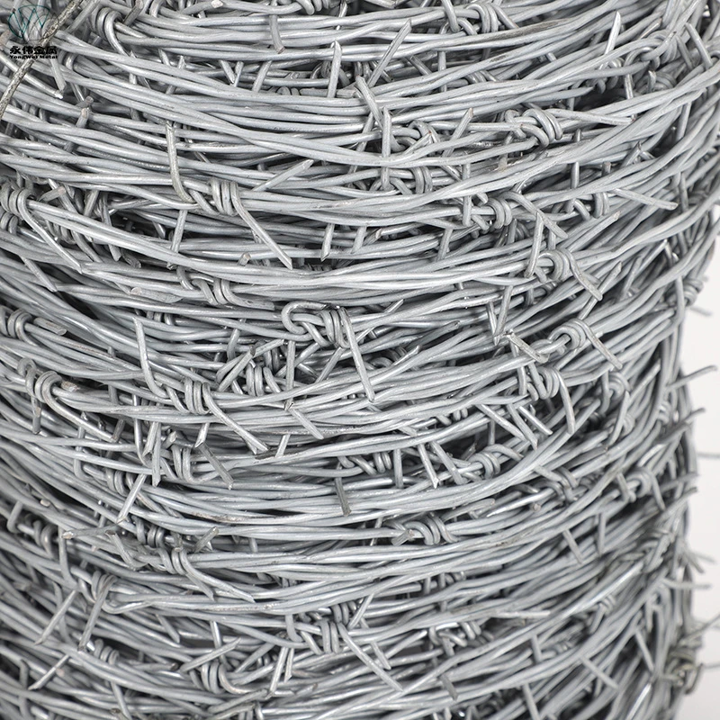 hot sale galvanized barbed wire