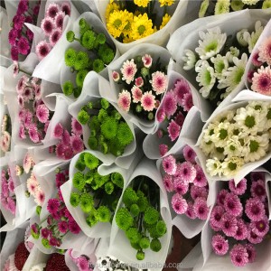 Hot Sell Small Sprayed Chrysanthemum Fresh Cut Flowers Wholesale