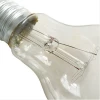 incandescent lamp E27 clear light bulb