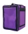 Import Insulated  Food Delivery  Cooler Bag Backpack Food Delivery Bag from China