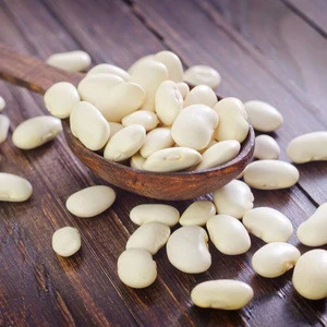 IQF Bulk ThailandSmall Lima Beans, white broad bean