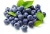 Import IQF Frozen Berries Fruit Blueberry from China