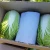 Import Korea Grown Vegetable Seowooha Cabbage for Kimchi Fresh Delicious High Fiber Naturally Sweet Healthy Veggies for family and Kid from South Korea